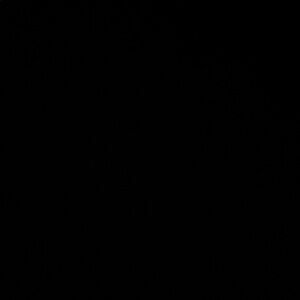 Meet your Posher, Yana